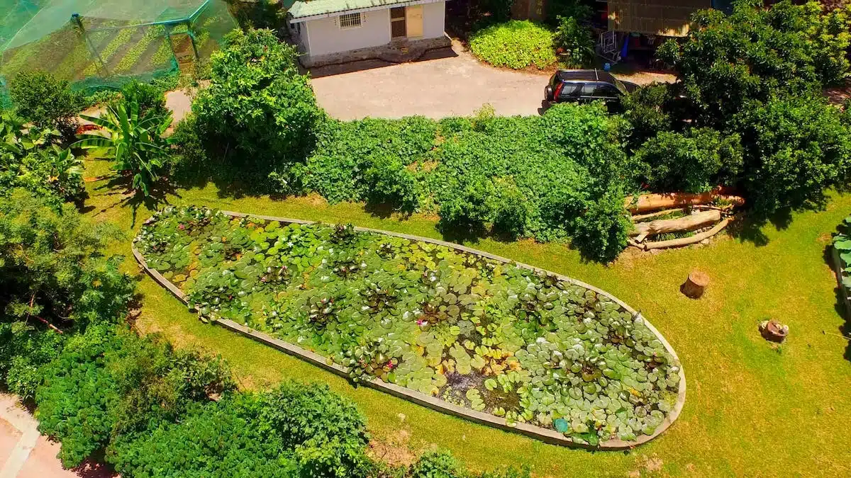 potager permaculture