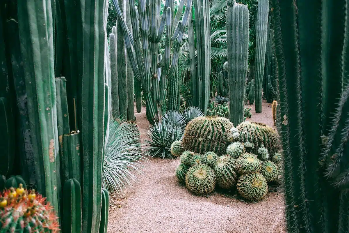 jardin écologique