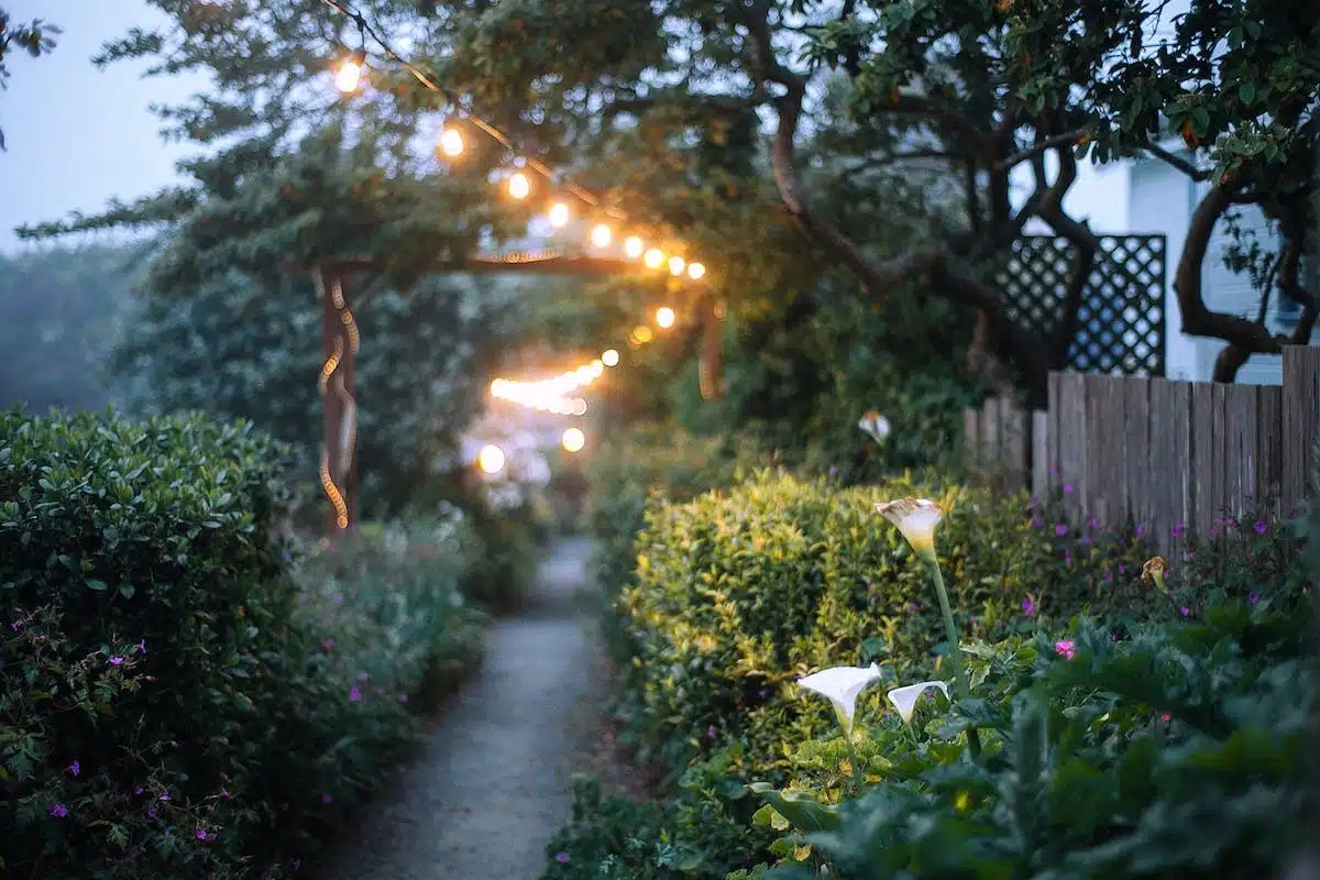 jardin féerique