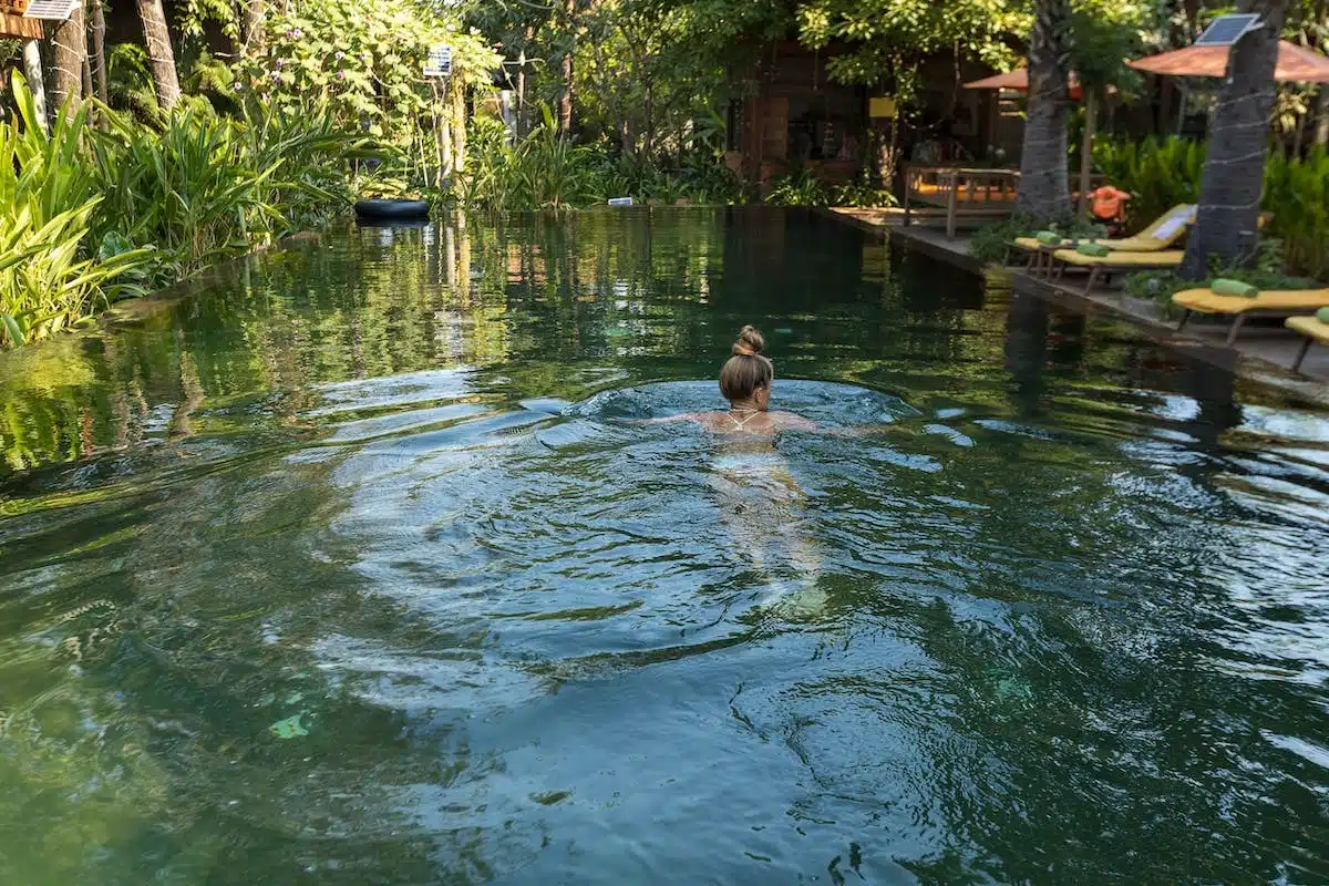 piscine naturelle