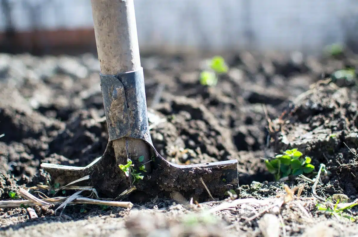 jardinage économie
