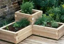 Comment entretenir des jardinières en bois