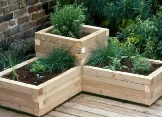 Comment entretenir des jardinières en bois