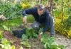 Que planter en octobre légume ou fruit