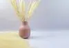 Décorez votre maison avec des fleurs de pampa