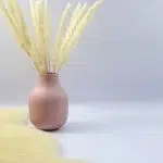 Décorez votre maison avec des fleurs de pampa