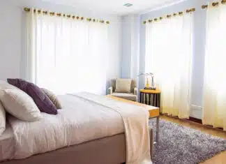 Détecter et éradiquer les punaises de lit grâce à un expert
