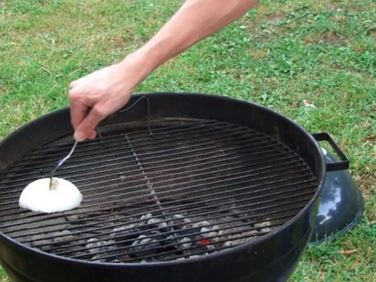 nettoyage grille barbecue