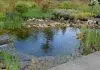 bassin aquatique