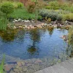 bassin aquatique