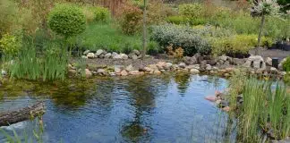 bassin aquatique